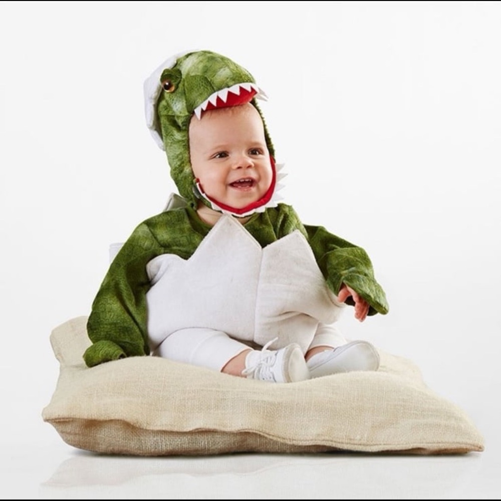 Pottery Barn Kids Green Dinosaur Costume